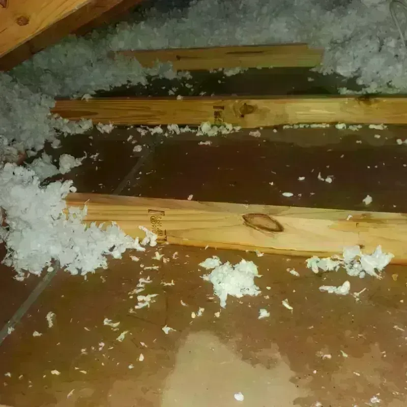 Attic Water Damage in Circleville, OH